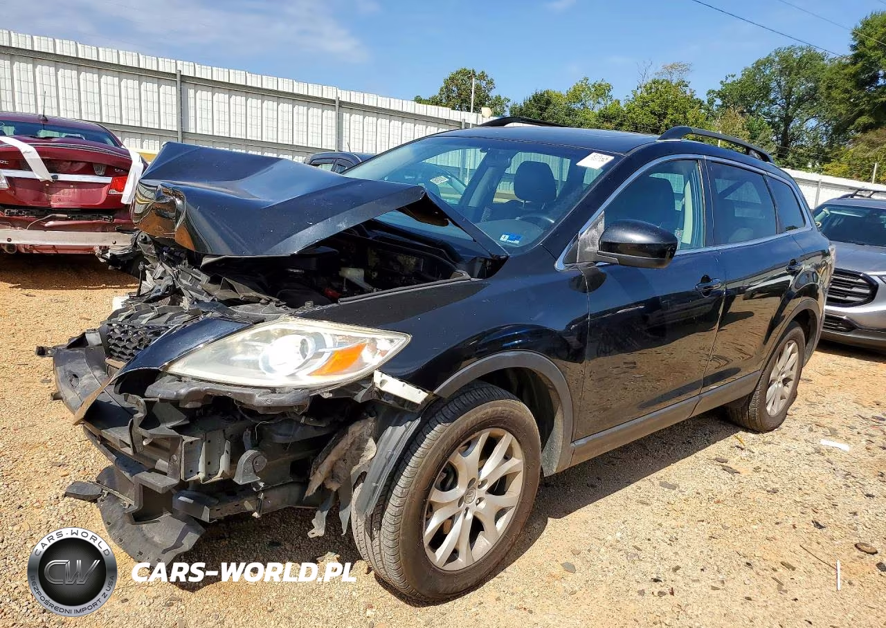 2011 Mazda Cx-9 VIN:JM3TB3CVXB0300865 - 1