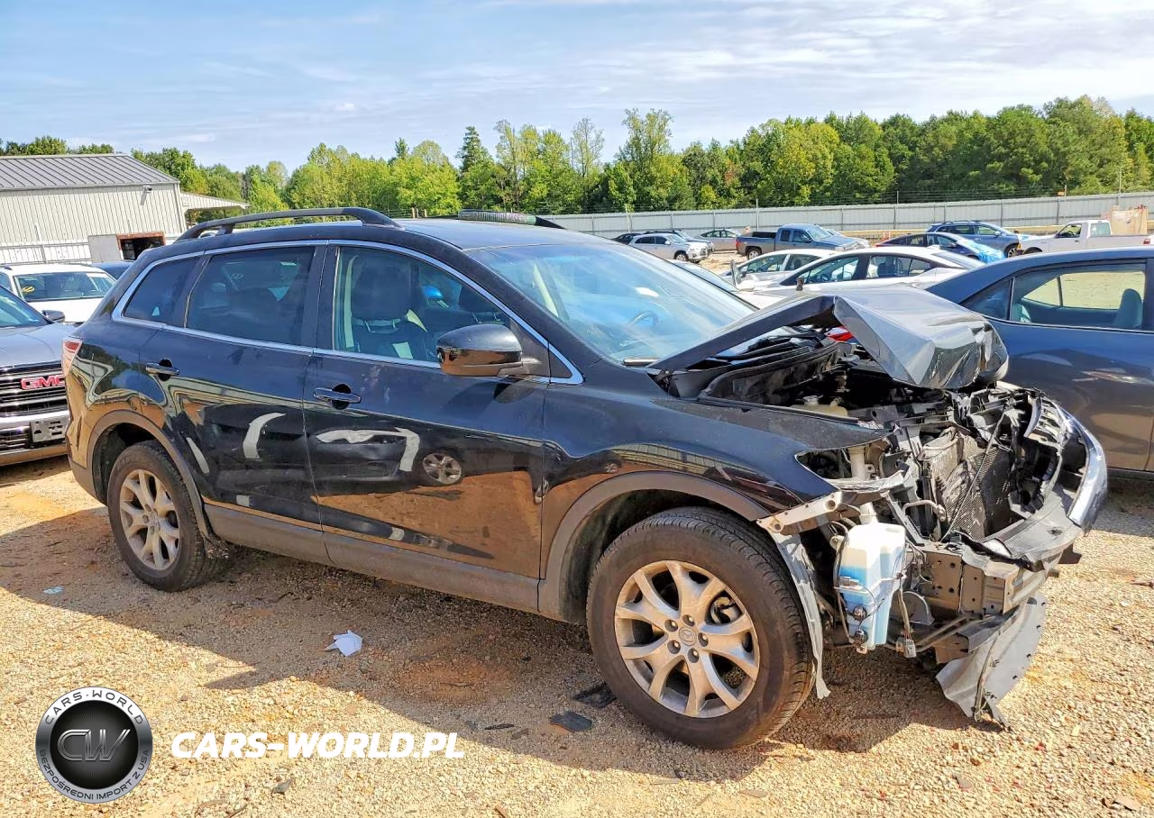 2011 Mazda Cx-9 VIN:JM3TB3CVXB0300865 - 4