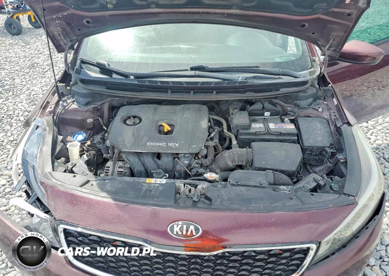 2017 Kia Forte Lx VIN:3KPFL4A73HE021559 - 11