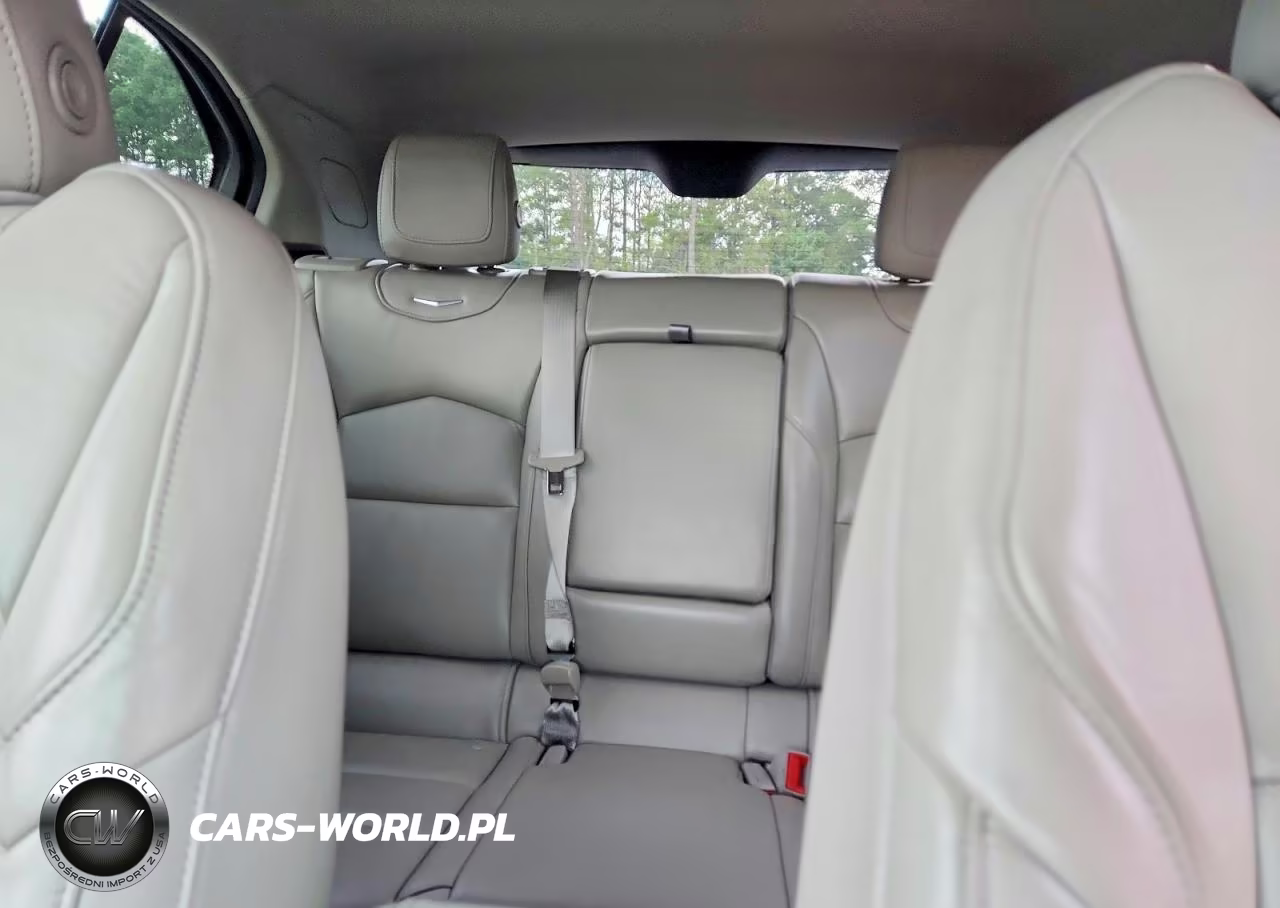 2019 Cadillac Xt4 Premium Luxury VIN:1GYFZDR43KF127414 - 10