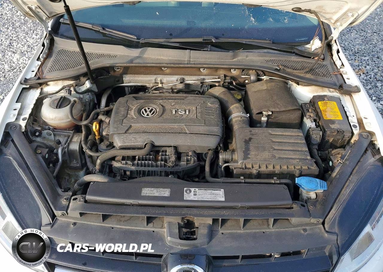 2016 Volkswagen Golf S-Se VIN:3VW217AU5GM035279 - 11