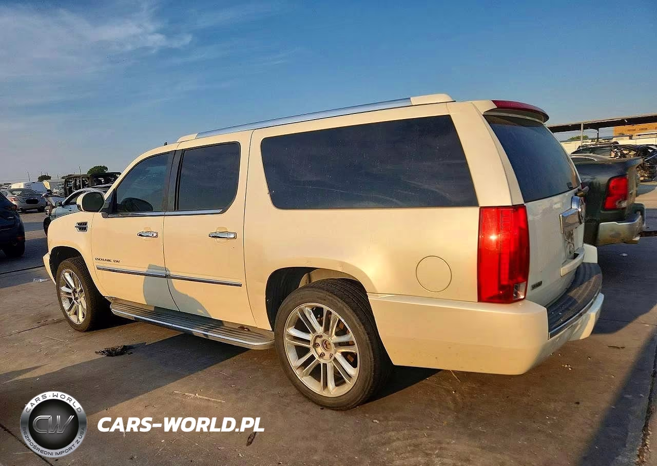 2010 Cadillac Escalade Esv Luxury VIN:1GYUKHEF8AR138349 - 2