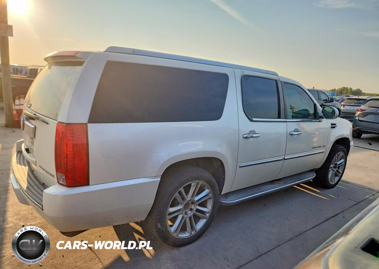 2010 Cadillac Escalade Esv Luxury VIN:1GYUKHEF8AR138349 - 3