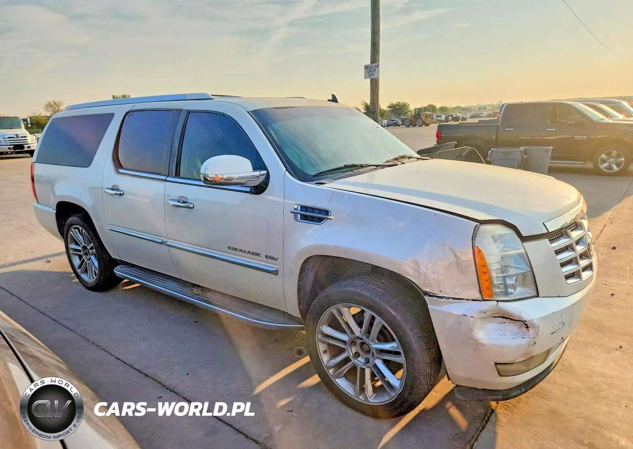 2010 Cadillac Escalade Esv Luxury VIN:1GYUKHEF8AR138349 - 4