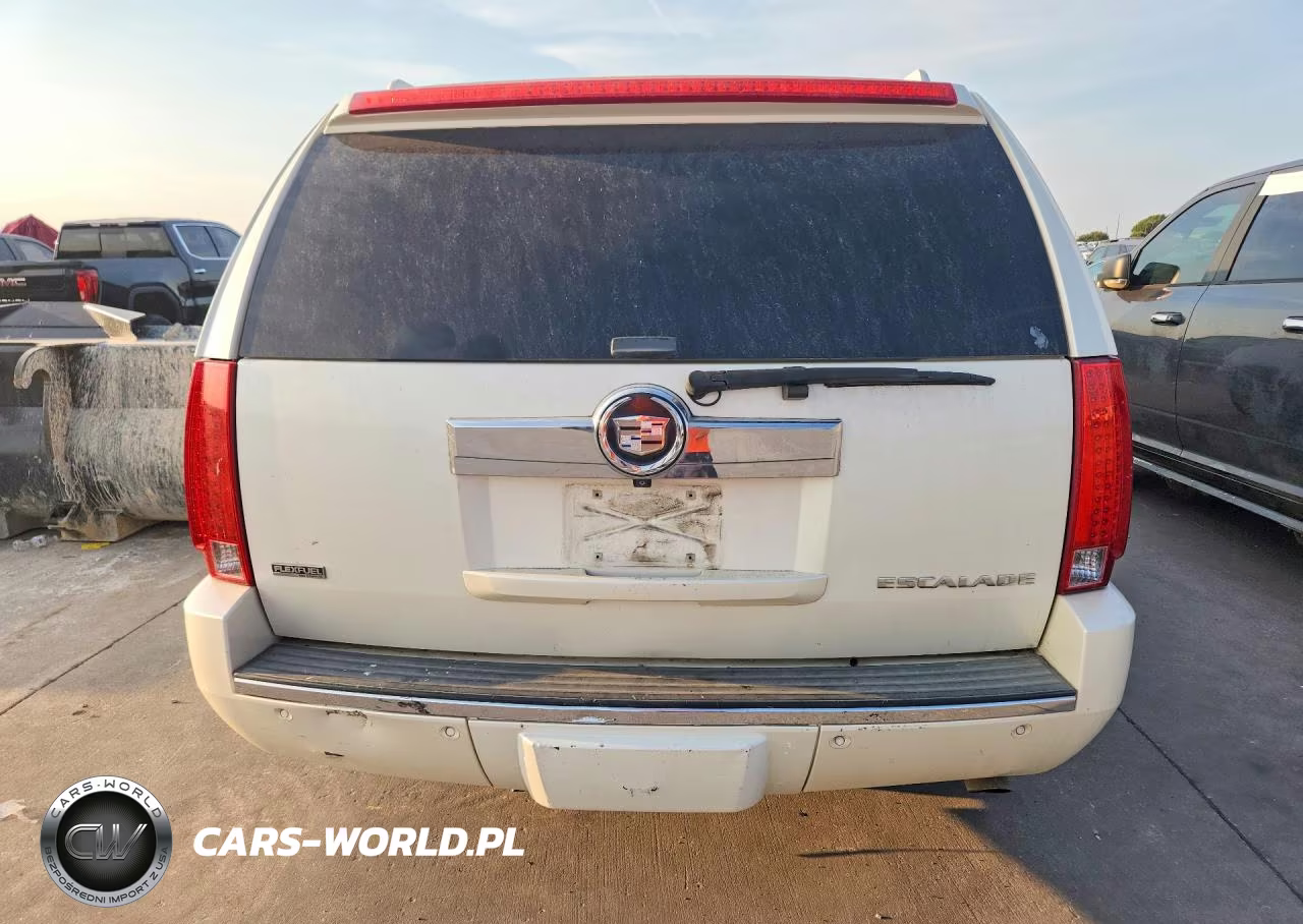 2010 Cadillac Escalade Esv Luxury VIN:1GYUKHEF8AR138349 - 6