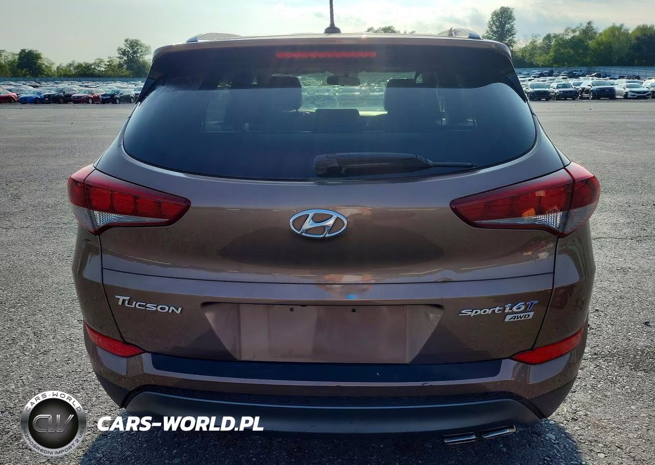 2016 Hyundai Tucson Sport VIN:KM8J3CA20GU246347 - 6