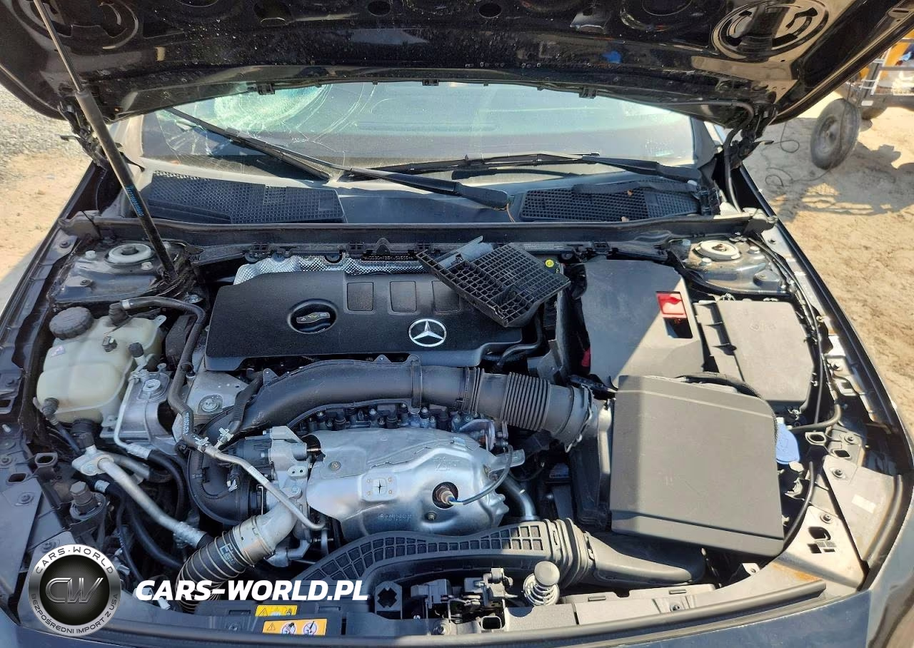 2019 Mercedes-Benz A 220 4Matic VIN:WDD3G4FB5KW025054 - 11