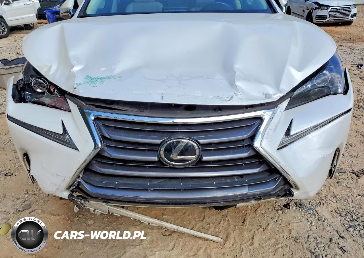 2016 Lexus Nx 200T Base VIN:JTJYARBZ9G2046969 - 12