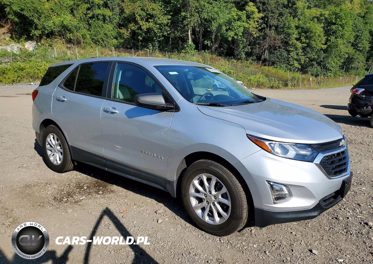 2020 Chevrolet Equinox Ls VIN:3GNAXSEV9LS680209 - 4