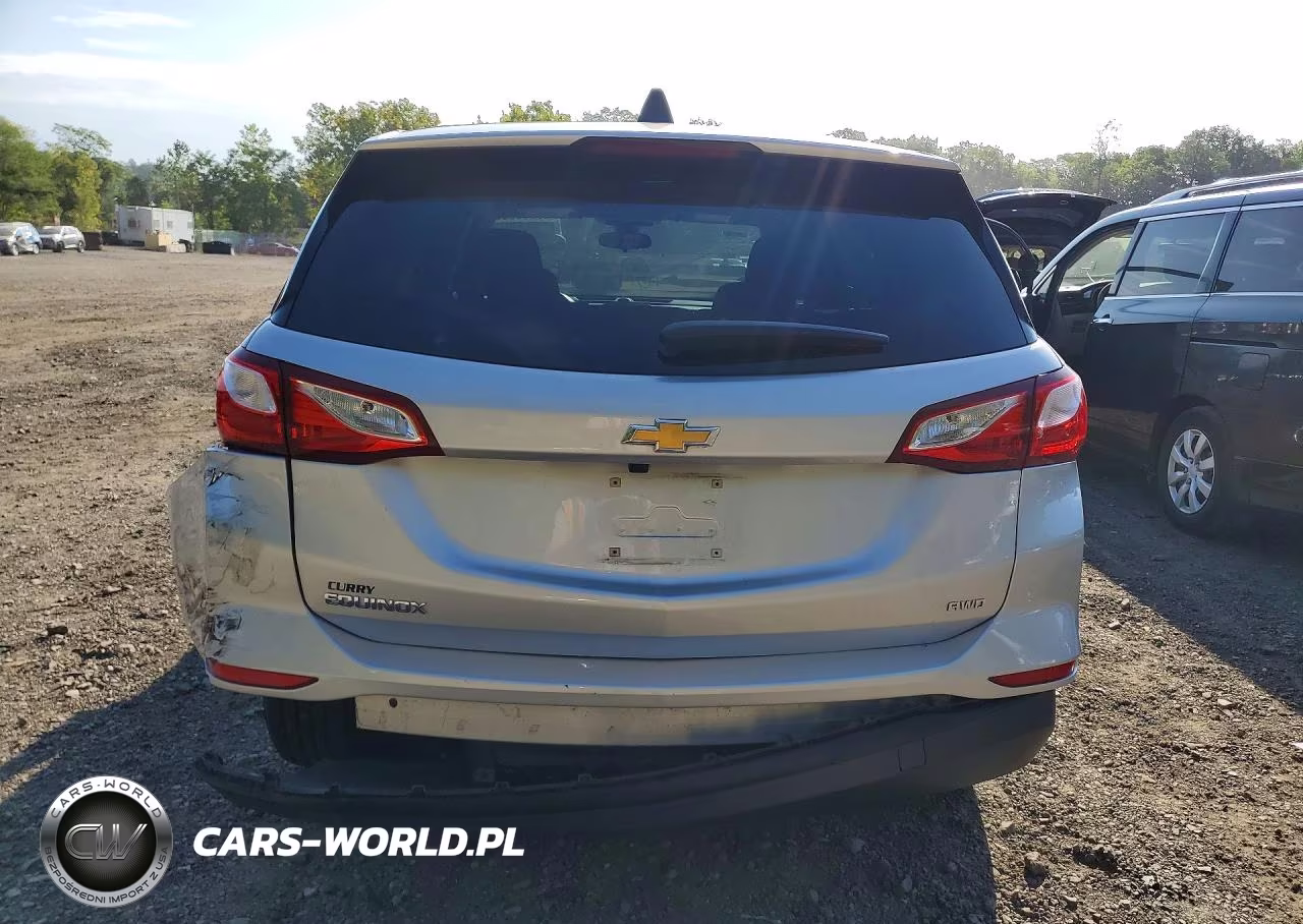 2020 Chevrolet Equinox Ls VIN:3GNAXSEV9LS680209 - 6