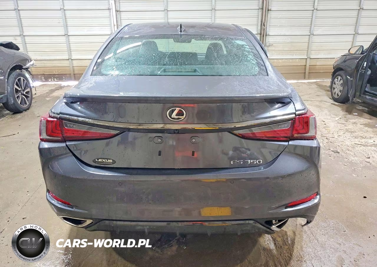 2023 Lexus Es 350 F Sport Handling VIN:58AJZ1B18PU139581 - 6