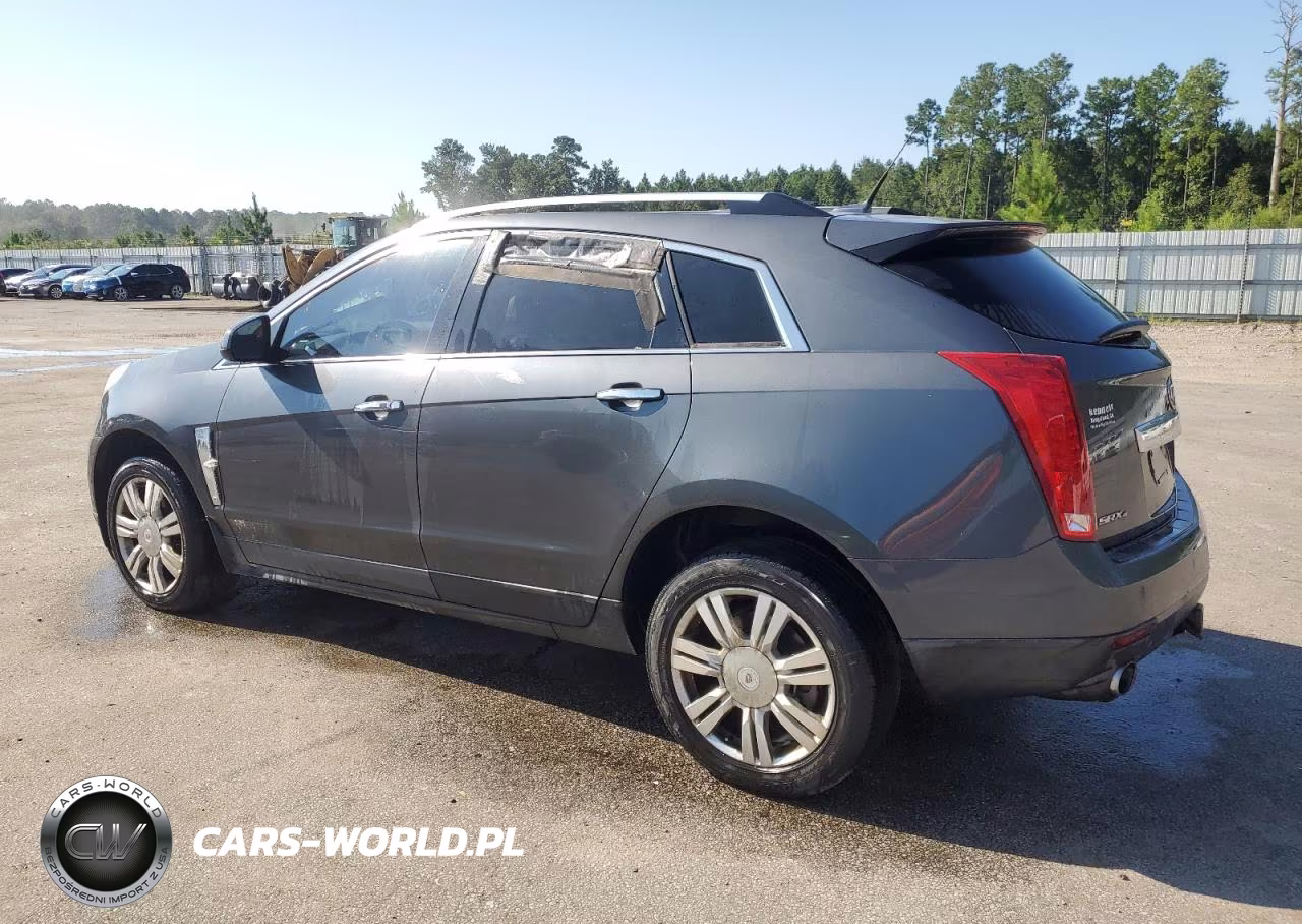 2011 Cadillac Srx Luxury Collection VIN:3GYFNDEY3BS531989 - 2