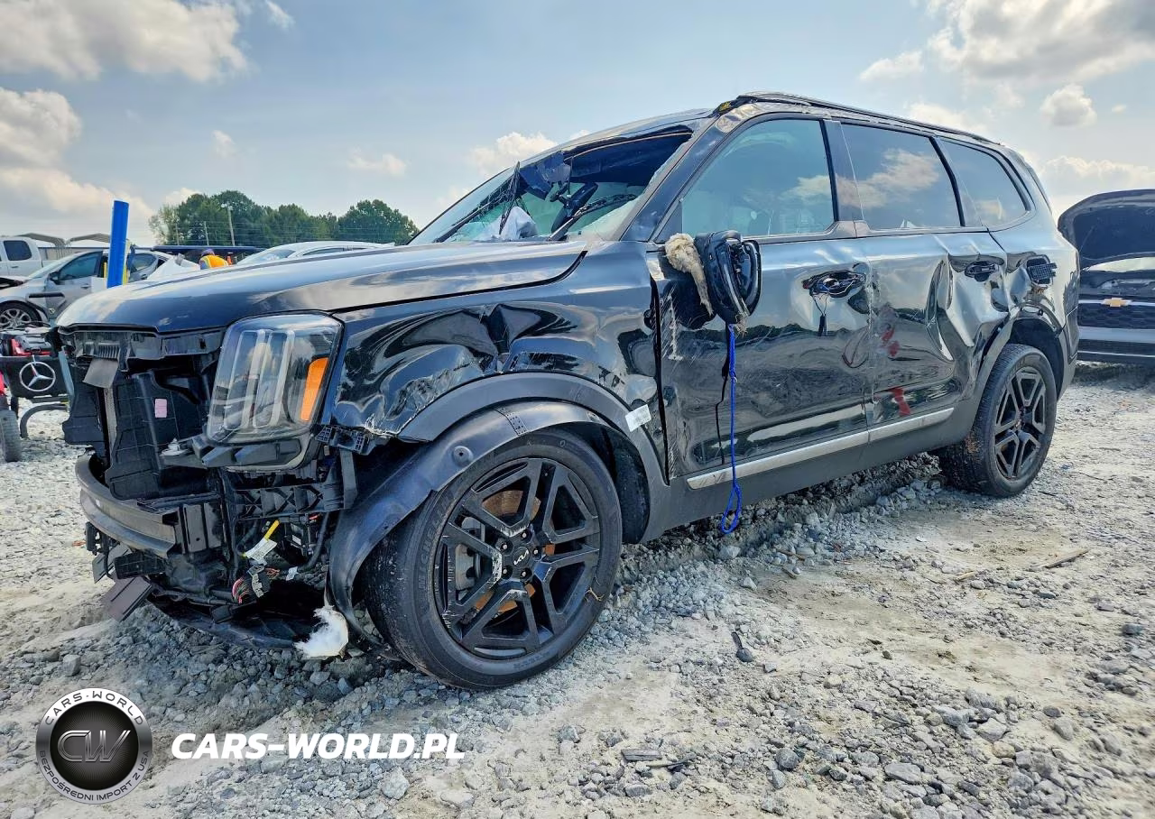 2023 Kia Telluride Ex X-Line VIN:5XYP3DGC8PG357167 - 1