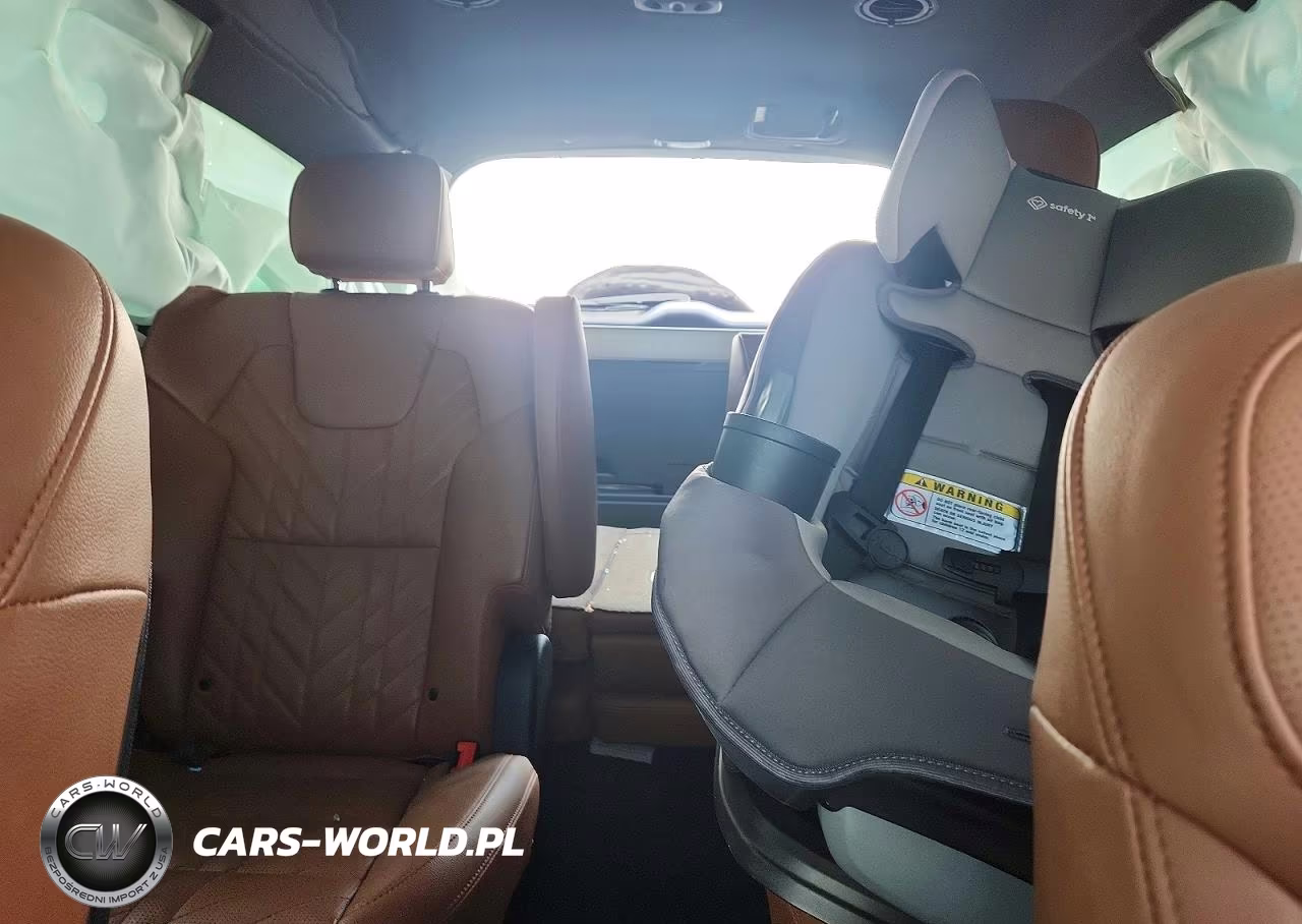 2023 Kia Telluride Ex X-Line VIN:5XYP3DGC8PG357167 - 10