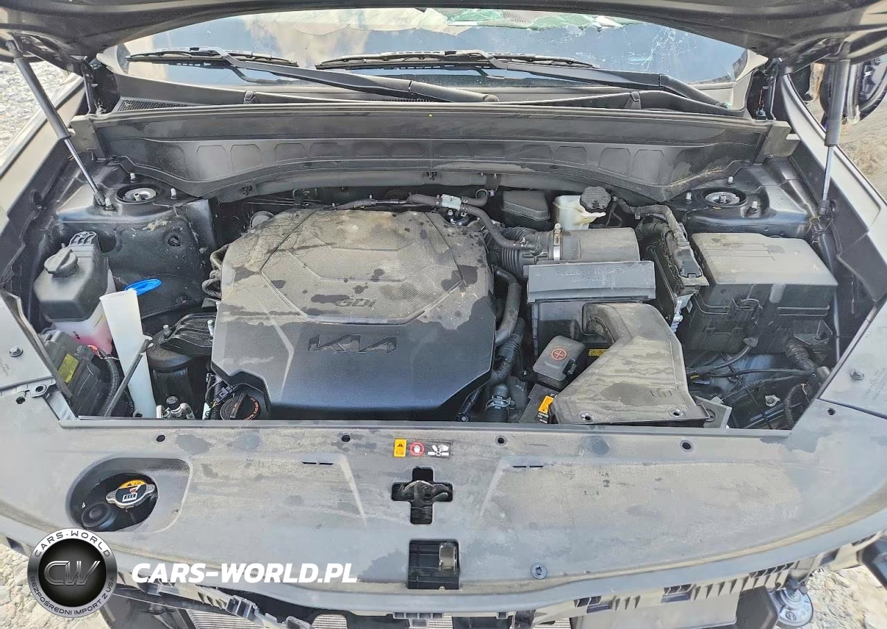2023 Kia Telluride Ex X-Line VIN:5XYP3DGC8PG357167 - 12