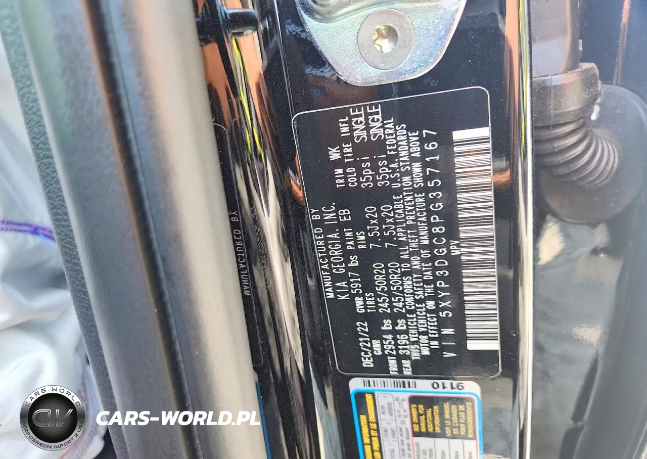 2023 Kia Telluride Ex X-Line VIN:5XYP3DGC8PG357167 - 13