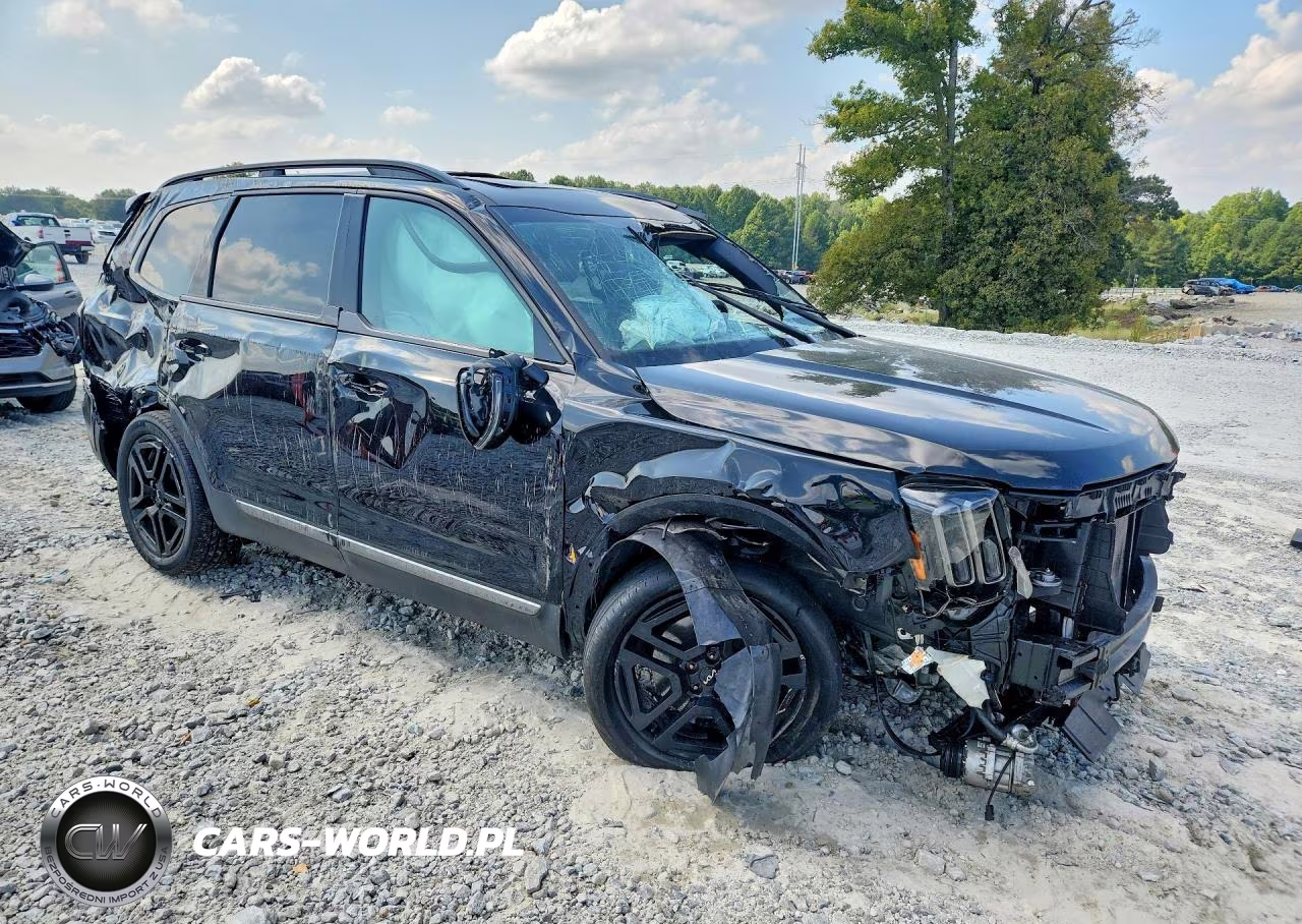 2023 Kia Telluride Ex X-Line VIN:5XYP3DGC8PG357167 - 4