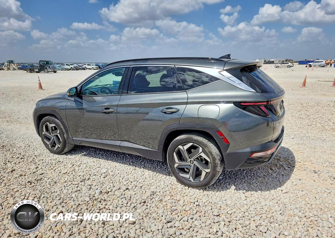 2023 Hyundai Tucson Limited VIN:5NMJE3AE8PH265373 - 2