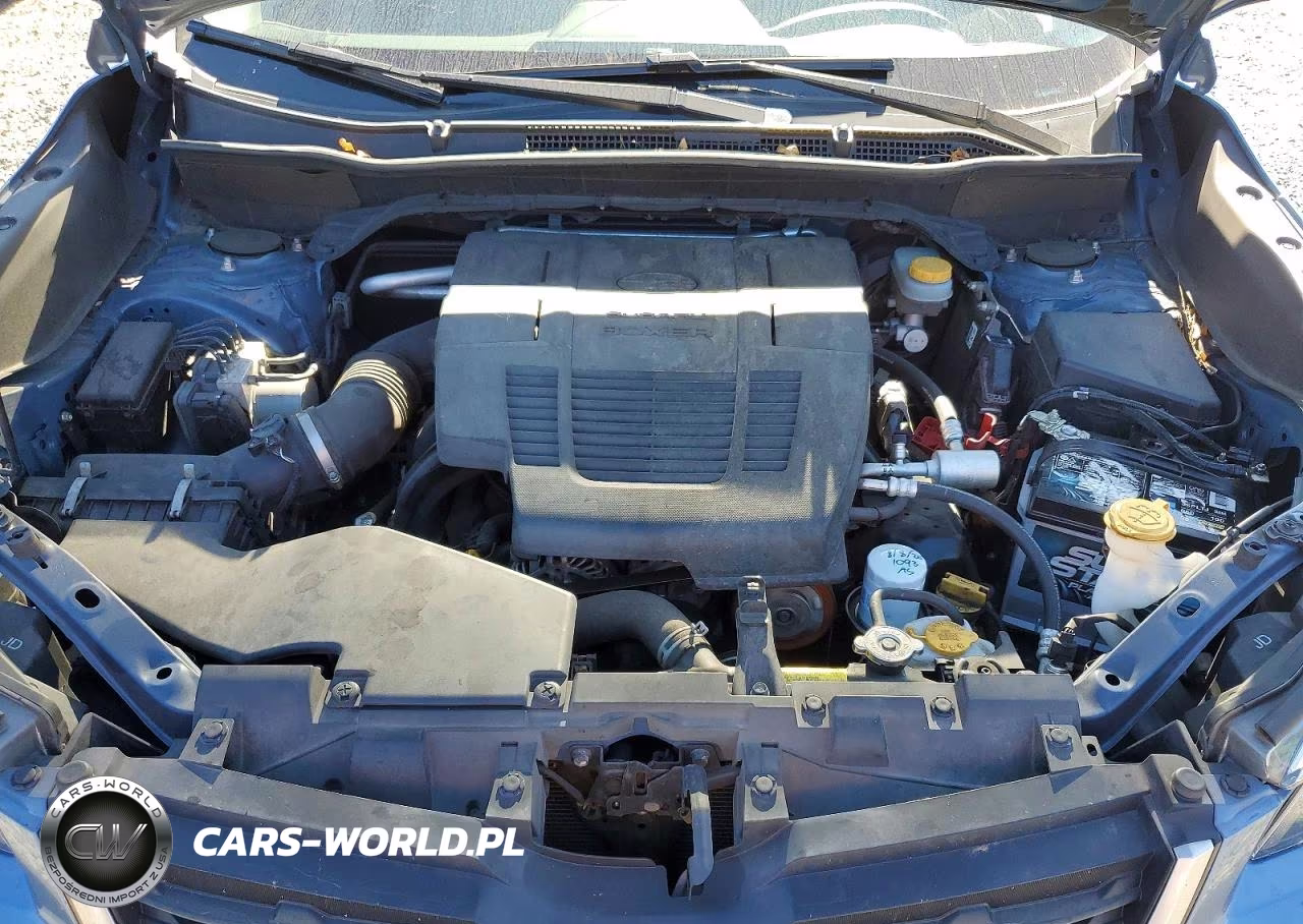 2019 Subaru Forester Premium VIN:JF2SKAEC7KH564214 - 12