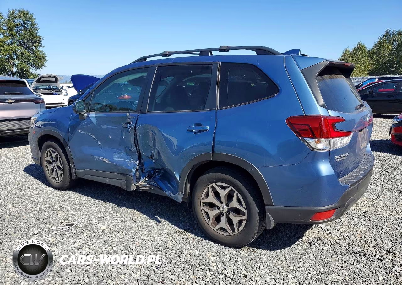 2019 Subaru Forester Premium VIN:JF2SKAEC7KH564214 - 2