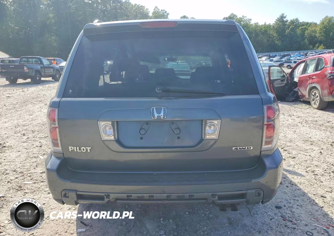 2007 Honda Pilot Ex VIN:5FNYF18417B020056 - 6