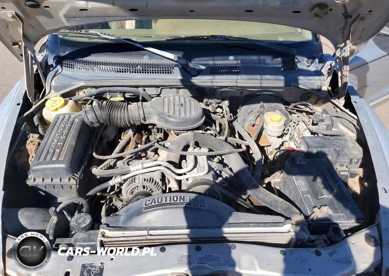 1999 Dodge Durango VIN:1B4HS28ZXXF523087 - 12