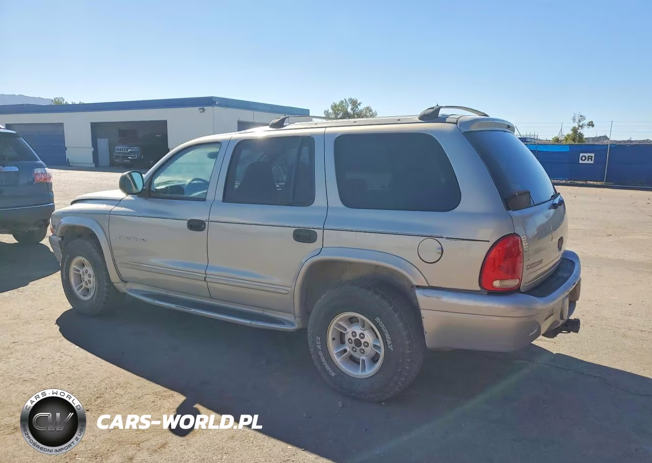 1999 Dodge Durango VIN:1B4HS28ZXXF523087 - 2