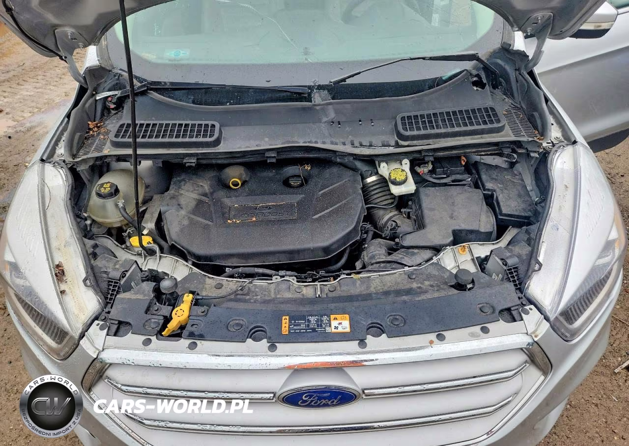 2019 Ford Escape Titanium VIN:1FMCU9J9XKUA78635 - 12