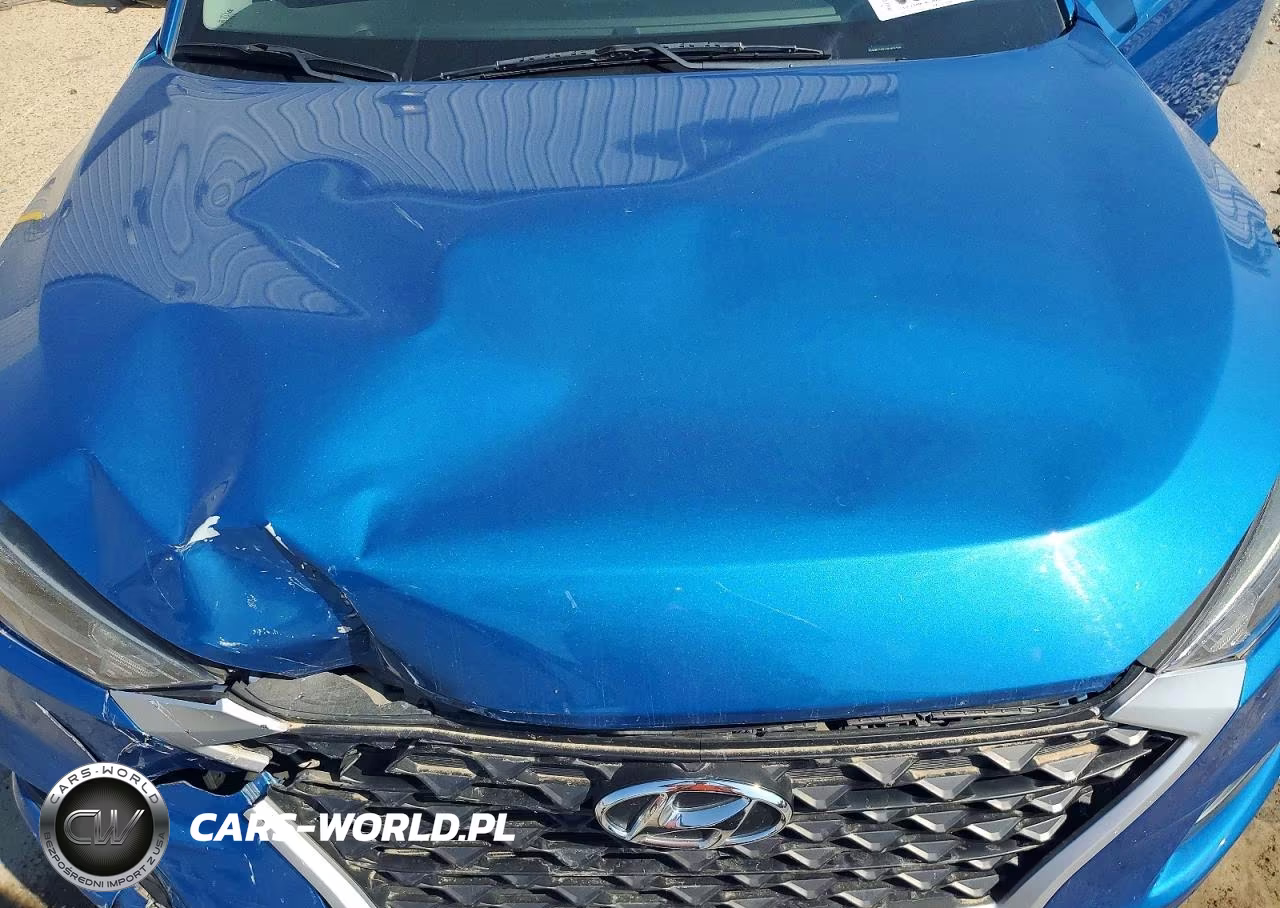 2019 Hyundai Tucson Se VIN:KM8J2CA41KU891733 - 12