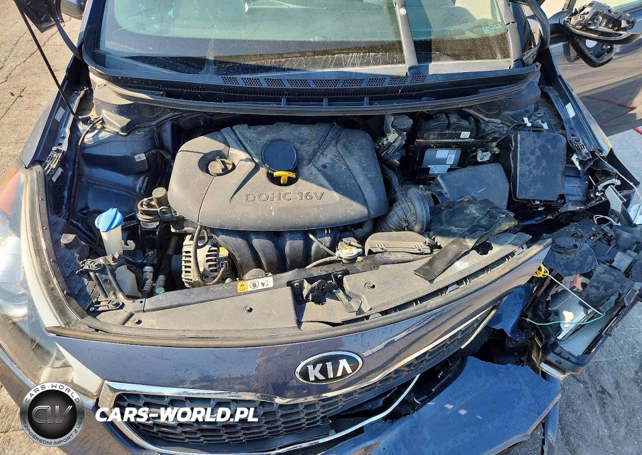 2016 Kia Forte Lx VIN:KNAFK4A6XG5563923 - 11