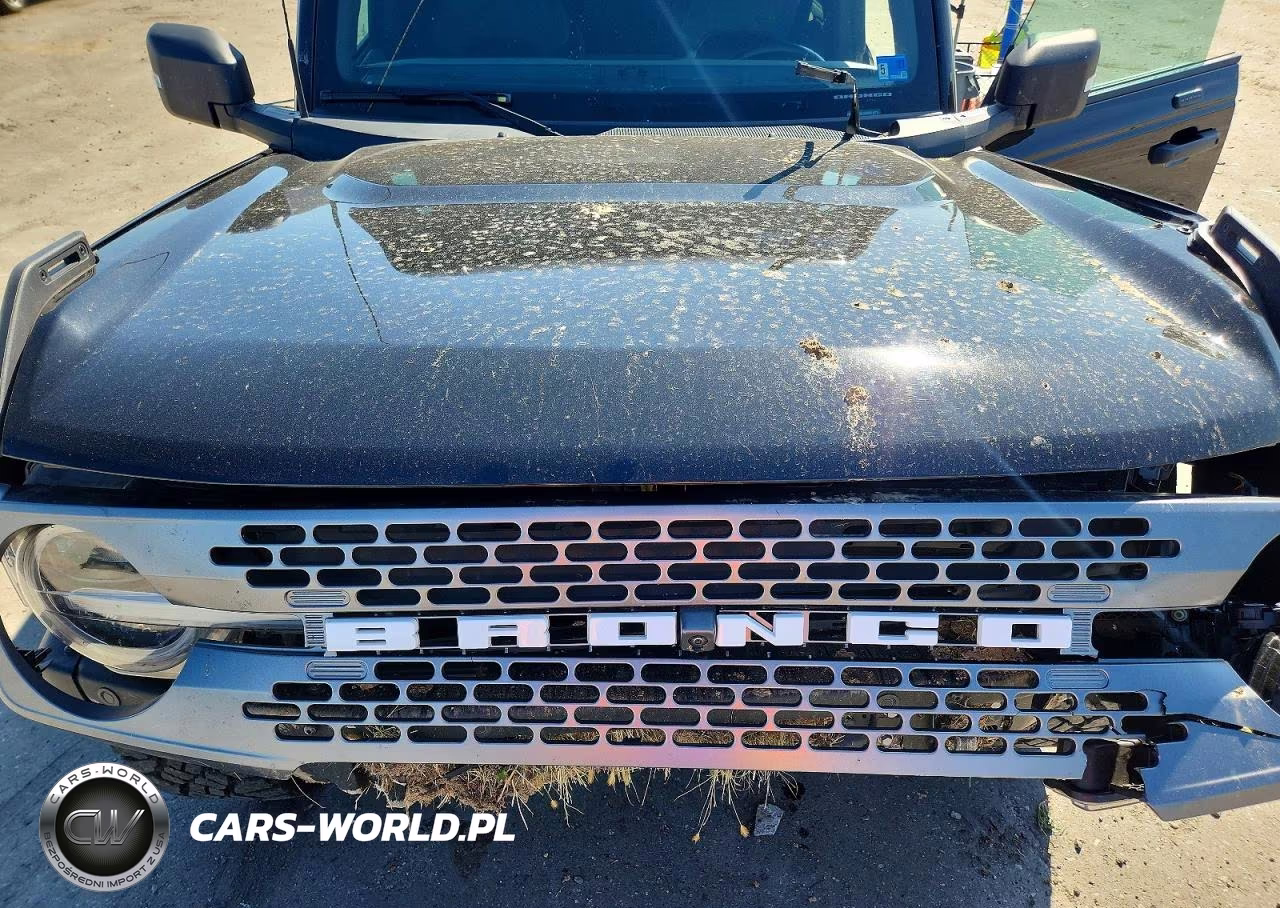 2021 Ford Bronco Base VIN:1FMEE5DP9MLA93595 - 11