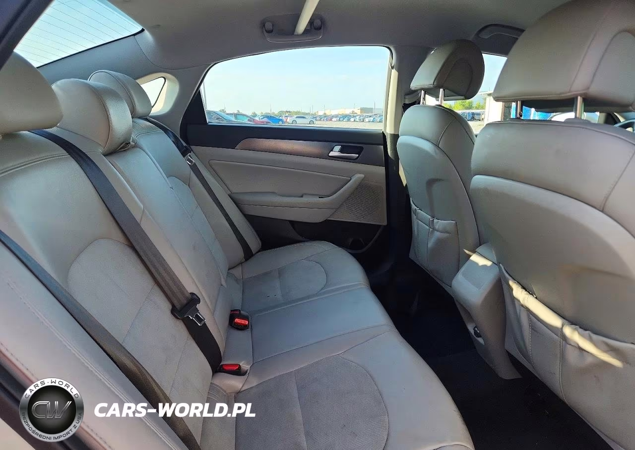 2015 Hyundai Sonata Sport VIN:5NPE34AF3FH258631 - 10