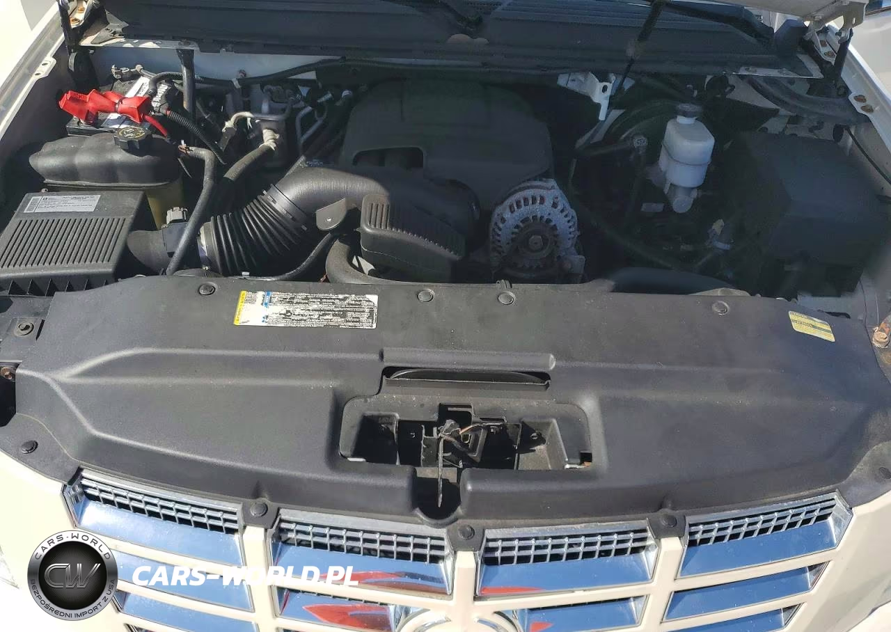 2010 Cadillac Escalade Luxury VIN:1GYUKBEF1AR179032 - 12