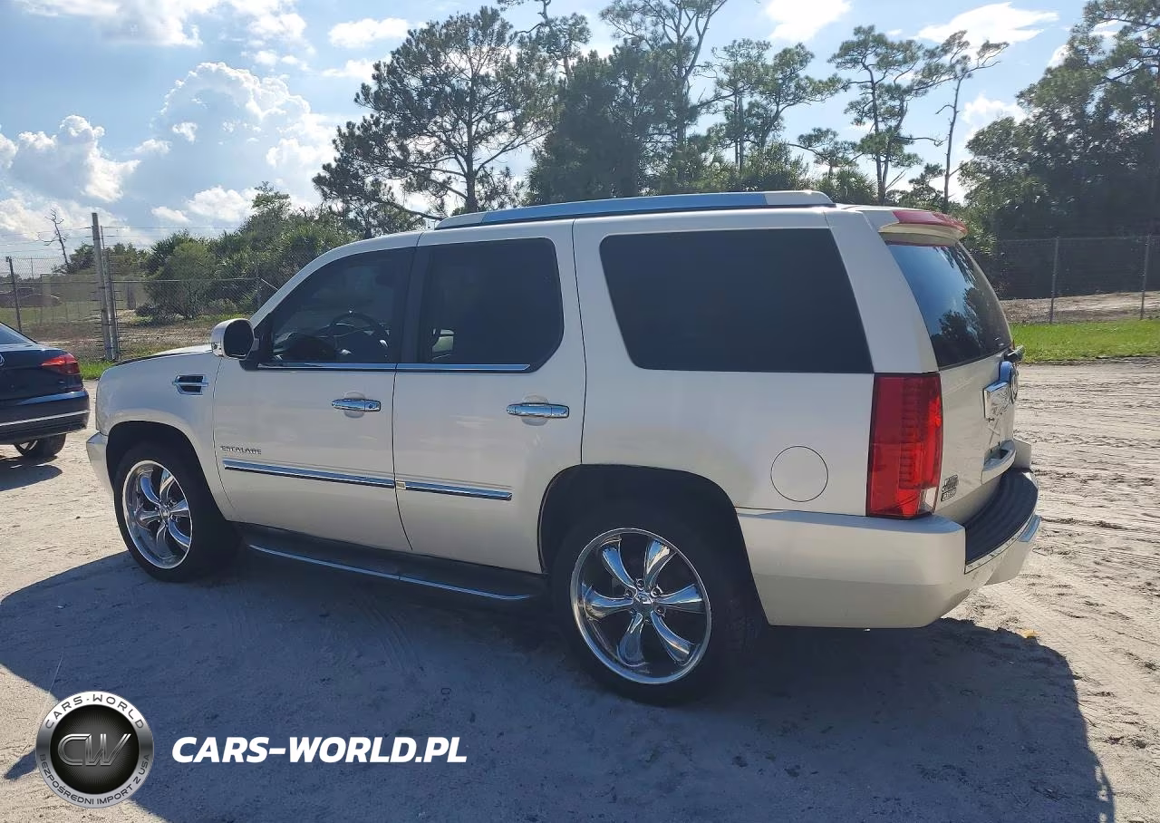 2010 Cadillac Escalade Luxury VIN:1GYUKBEF1AR179032 - 2