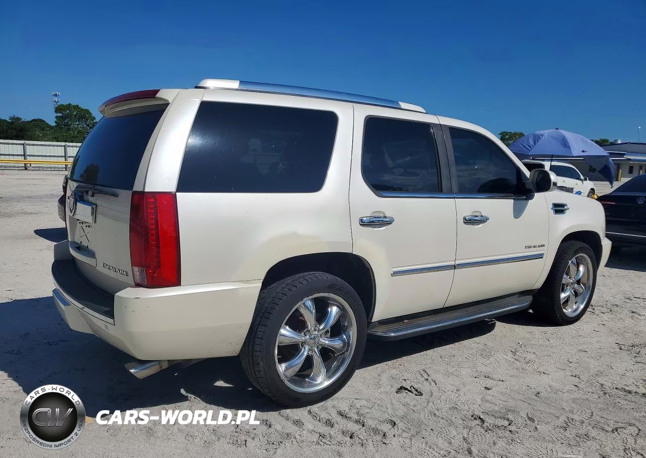 2010 Cadillac Escalade Luxury VIN:1GYUKBEF1AR179032 - 3