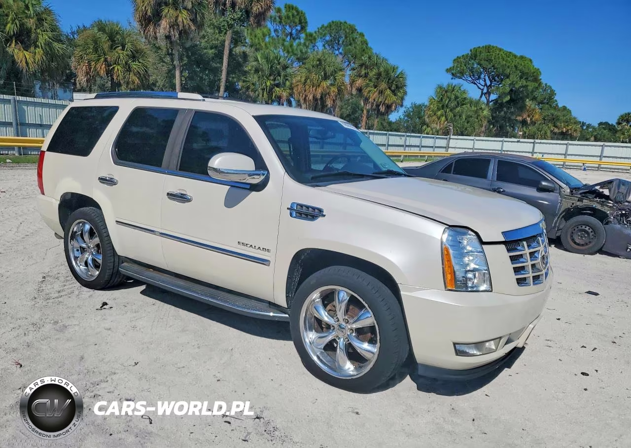 2010 Cadillac Escalade Luxury VIN:1GYUKBEF1AR179032 - 4
