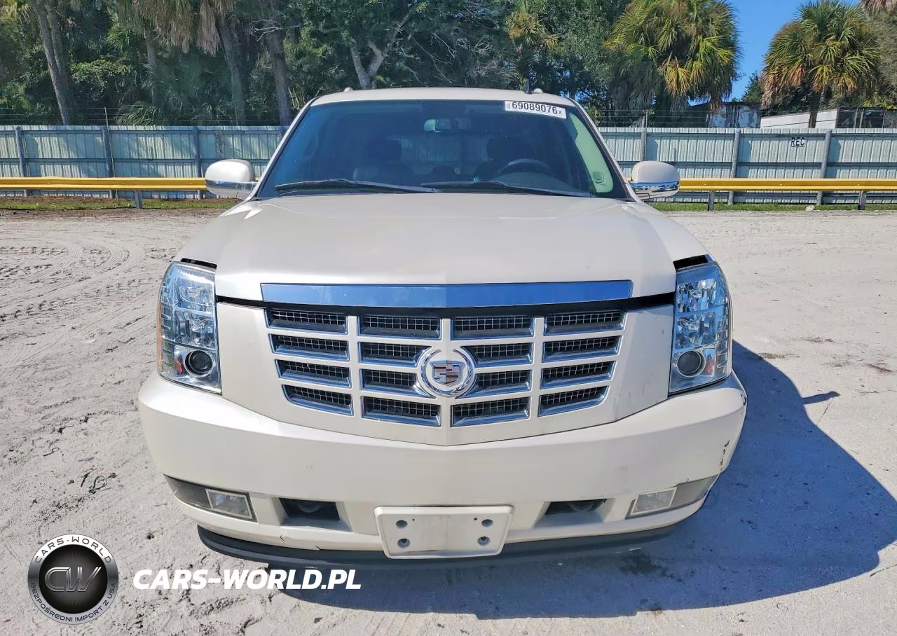 2010 Cadillac Escalade Luxury VIN:1GYUKBEF1AR179032 - 5