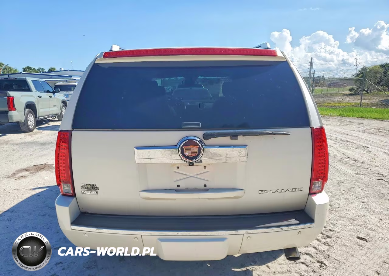 2010 Cadillac Escalade Luxury VIN:1GYUKBEF1AR179032 - 6