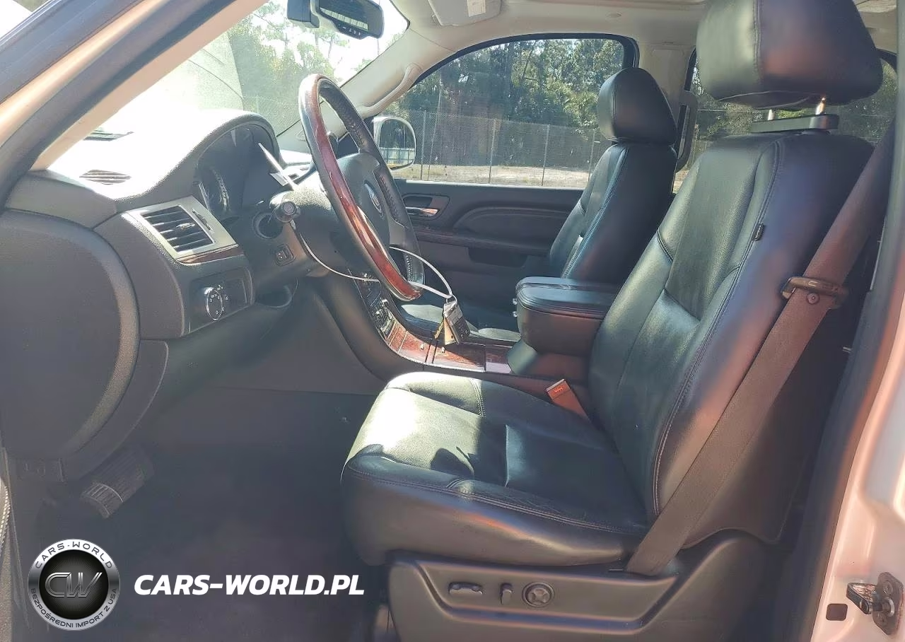 2010 Cadillac Escalade Luxury VIN:1GYUKBEF1AR179032 - 7