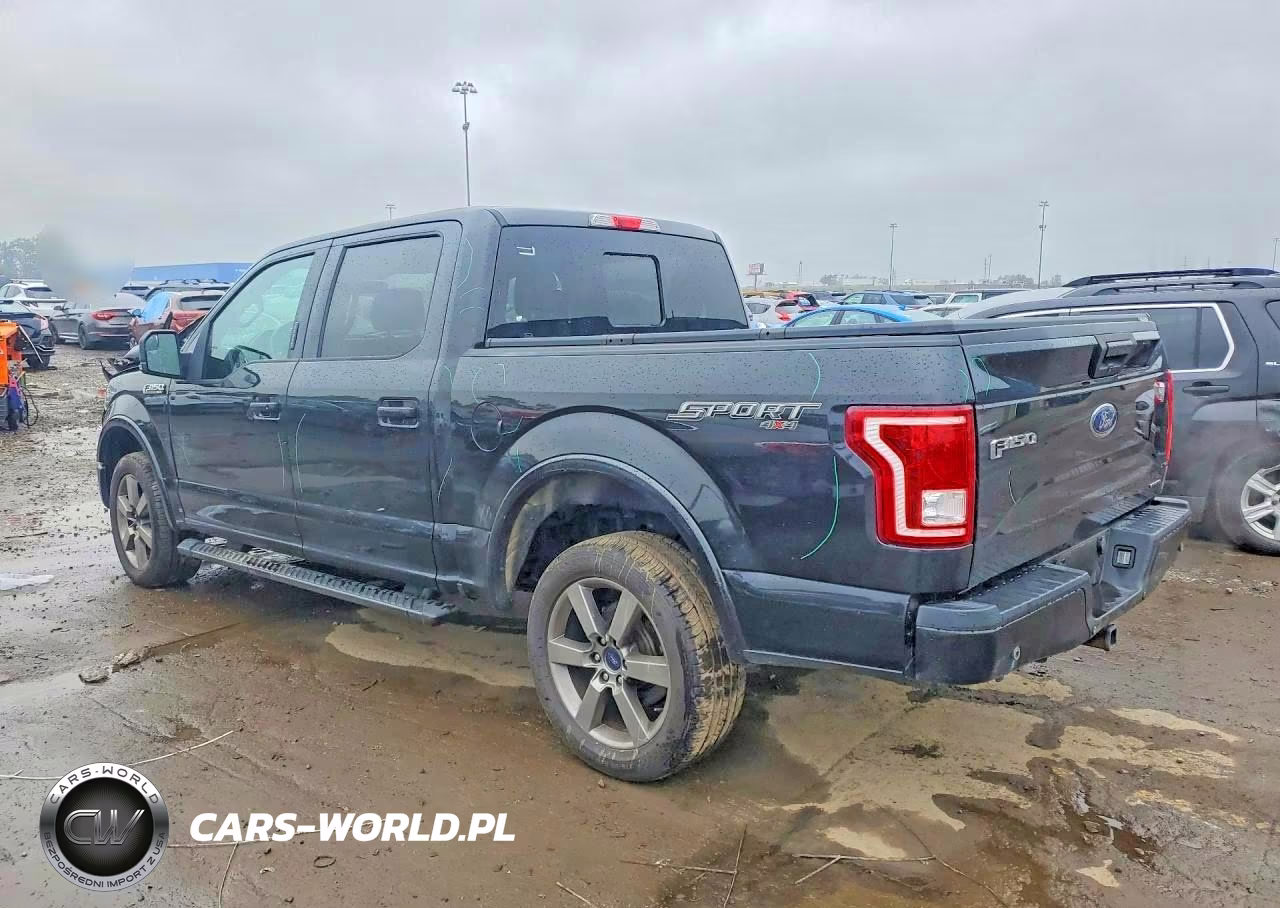 2015 Ford F150 Supercrew VIN:1FTEW1EF0FFD09951 - 2