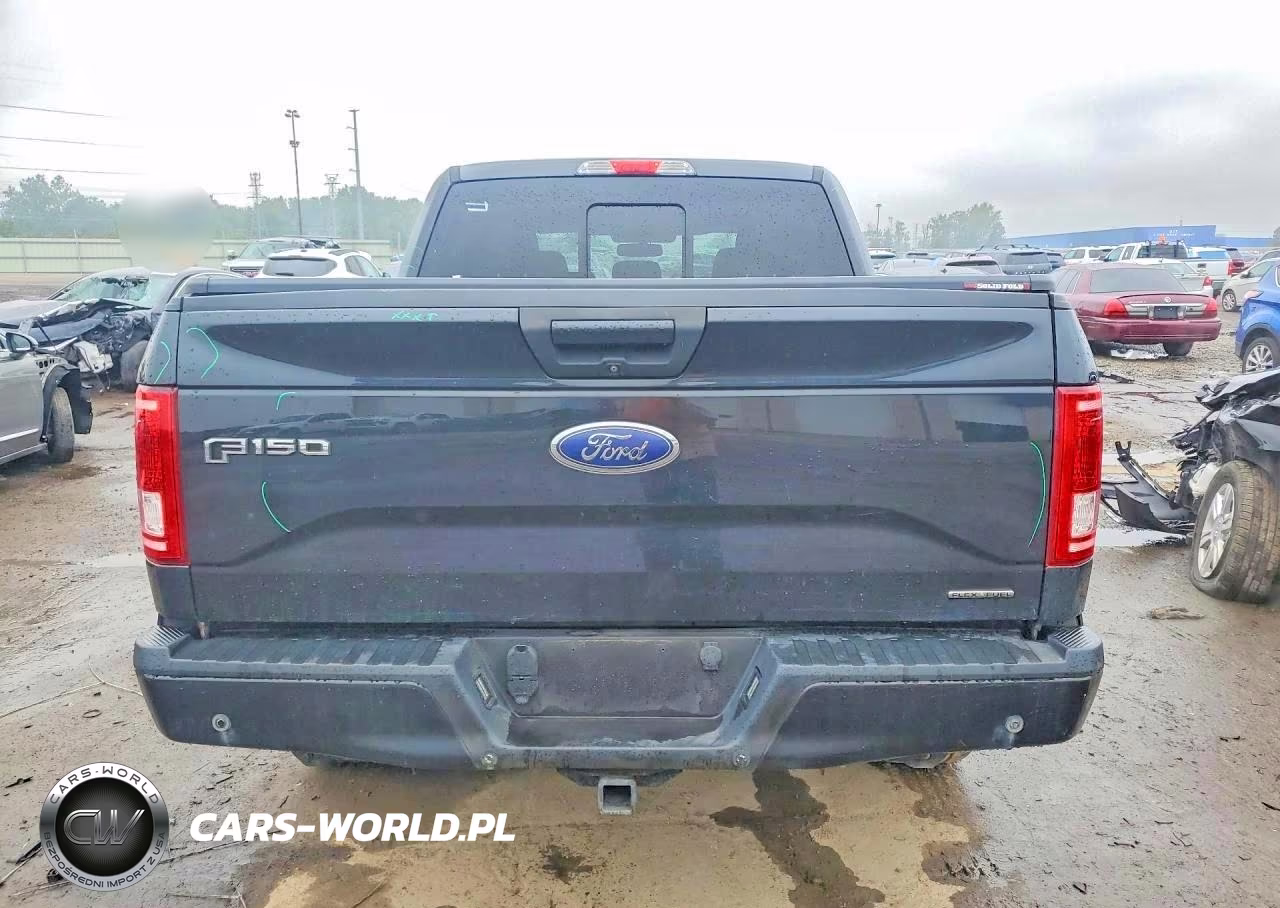 2015 Ford F150 Supercrew VIN:1FTEW1EF0FFD09951 - 6