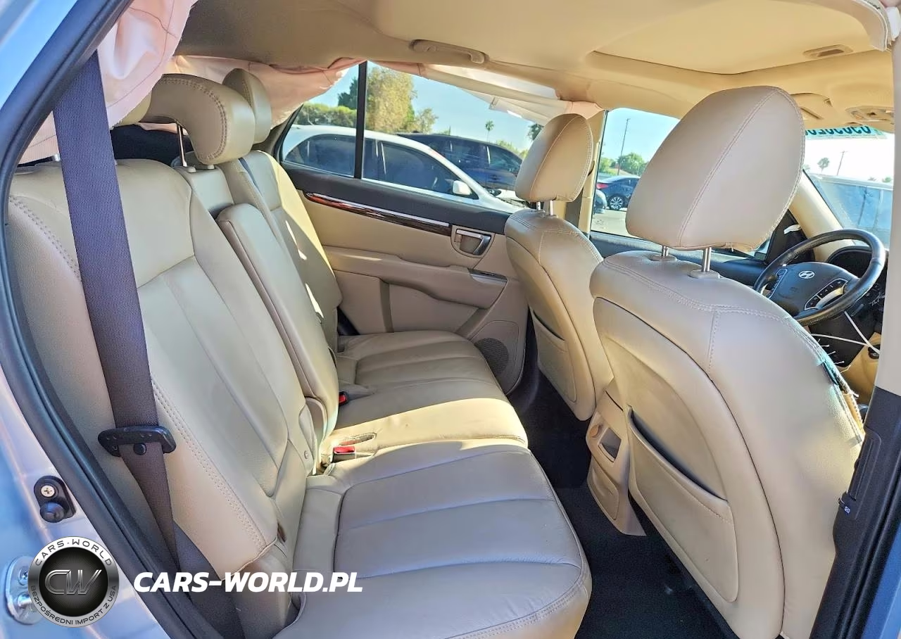 2010 Hyundai Santa Fe Limited VIN:5NMSK3AB3AH367612 - 10