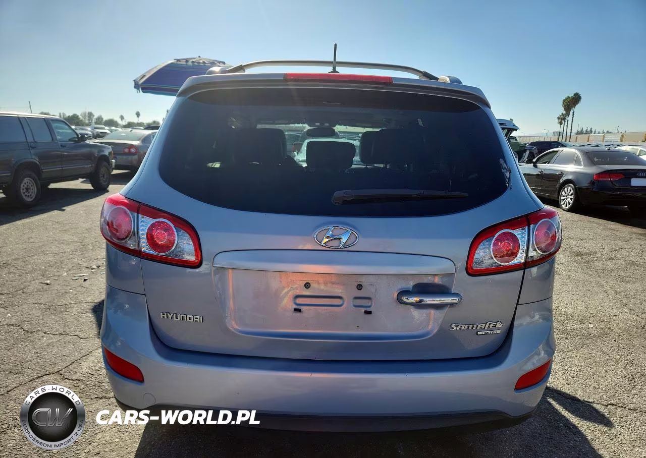 2010 Hyundai Santa Fe Limited VIN:5NMSK3AB3AH367612 - 6