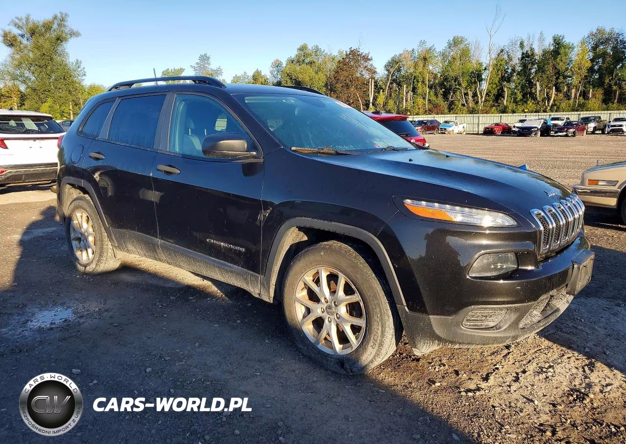 2016 Jeep Cherokee Sport VIN:1C4PJMAS3GW215737 - 4