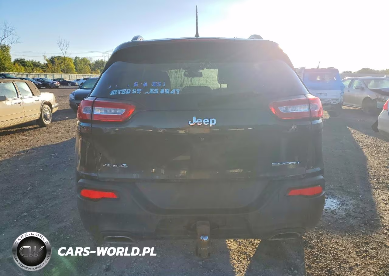 2016 Jeep Cherokee Sport VIN:1C4PJMAS3GW215737 - 6