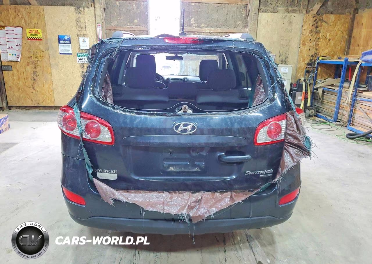 2010 Hyundai Santa Fe Gls VIN:5NMSGDAB7AH372190 - 6