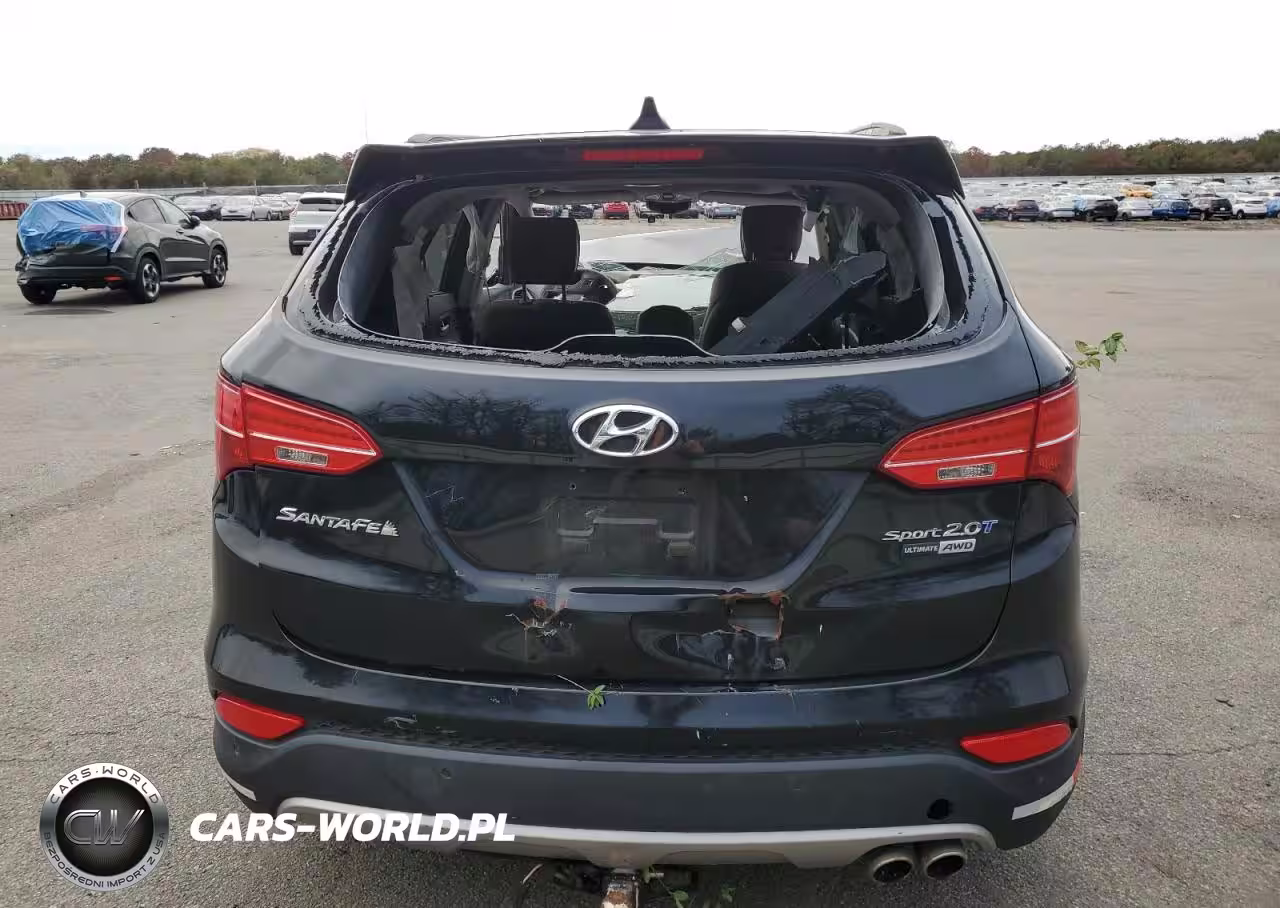 2015 Hyundai Santa Fe Sport VIN:5XYZWDLA8FG243897 - 6