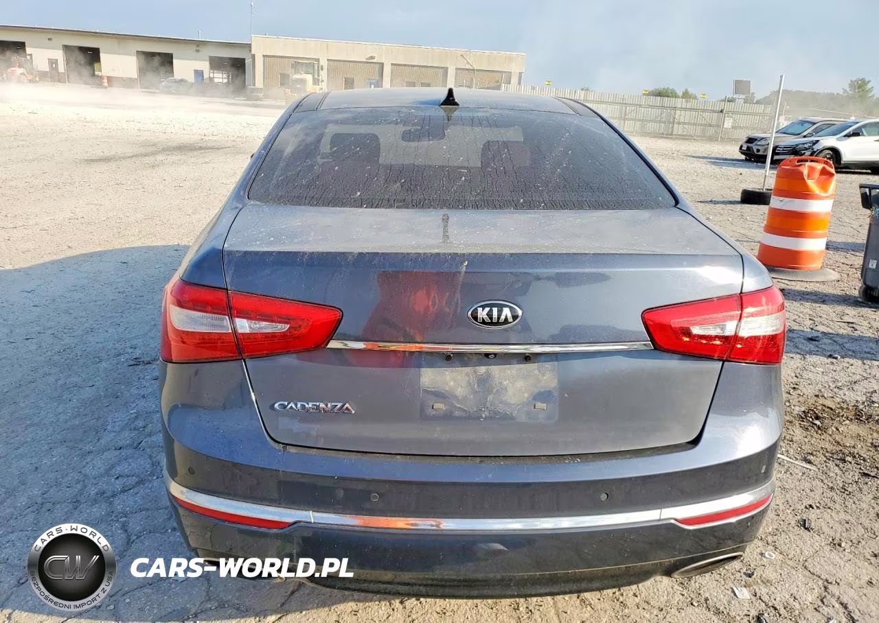 2015 Kia Cadenza Premium VIN:KNALN4D78F5187803 - 6