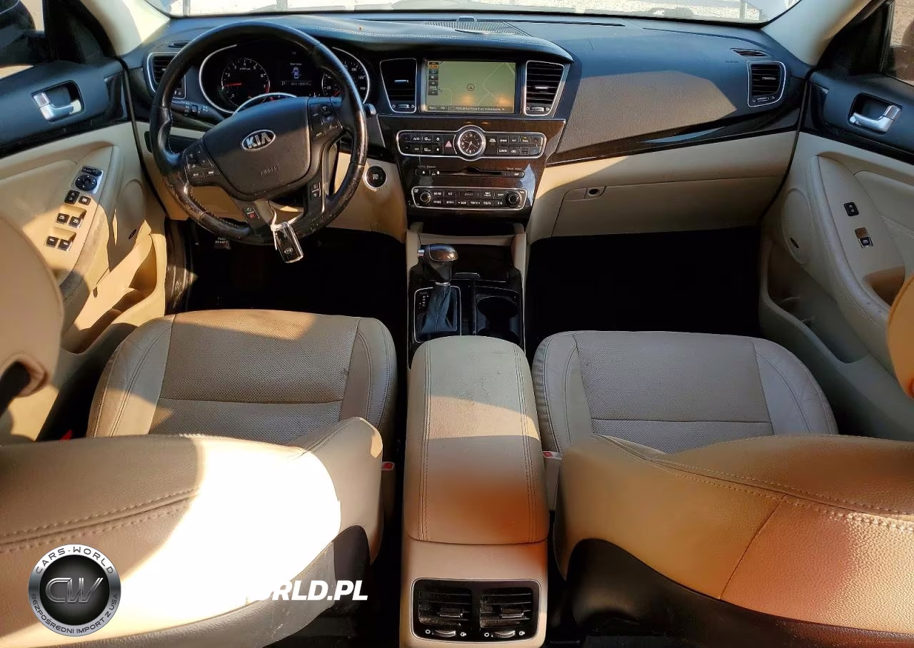 2015 Kia Cadenza Premium VIN:KNALN4D78F5187803 - 8