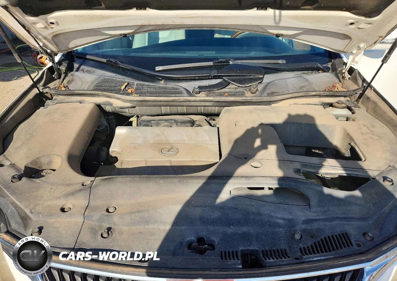 2010 Lexus Rx 350 VIN:JTJBK1BA1A2404104 - 11